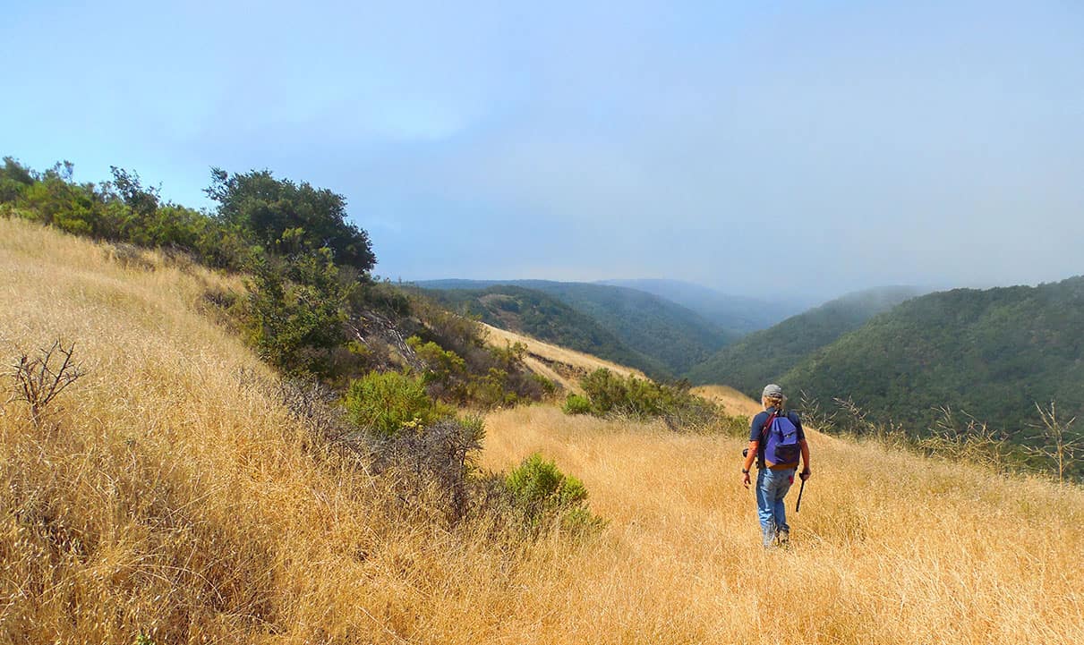 Wandering in Wonder