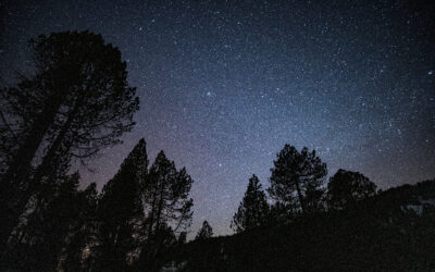 In Light of the Heavens