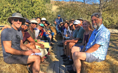 Hay Ride and Tour