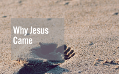 Why Jesus Came