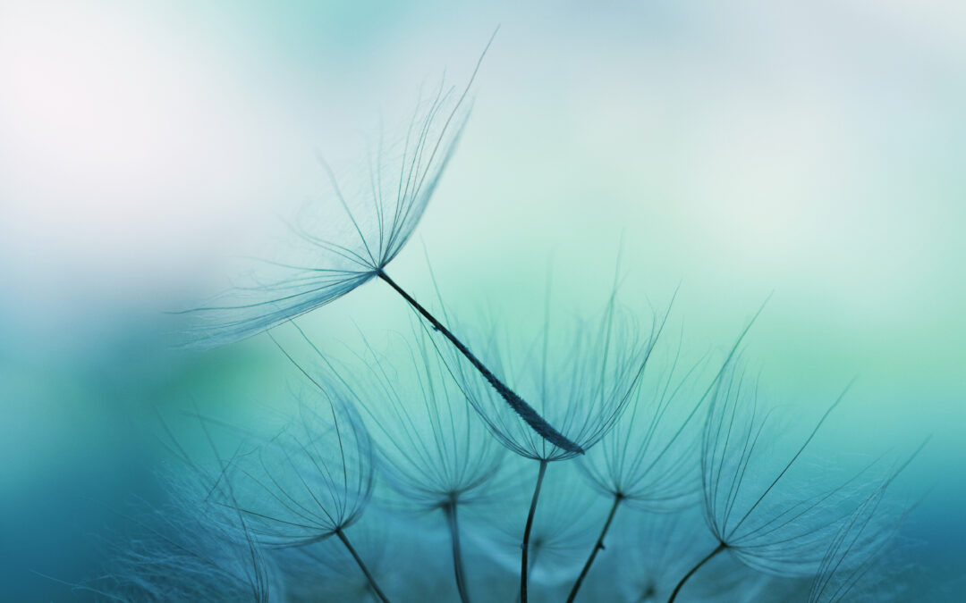 Thoughts on Religion