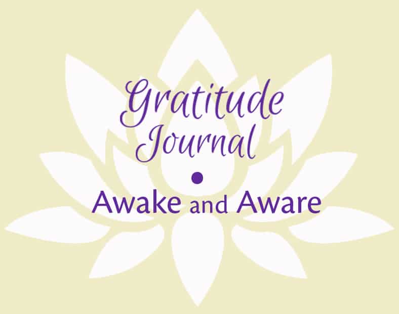 Awake and Aware