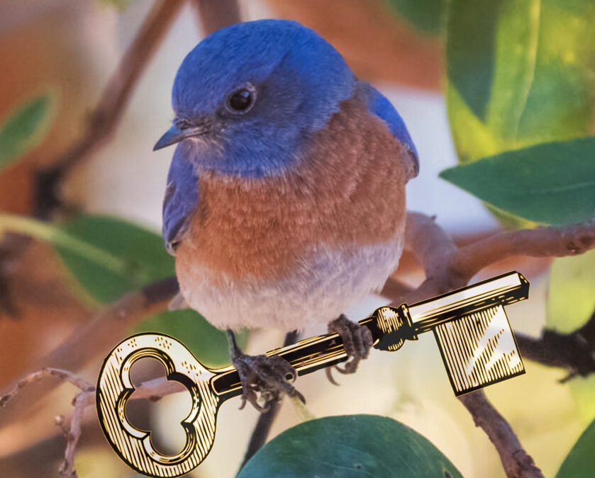 The Key to a Happy Life