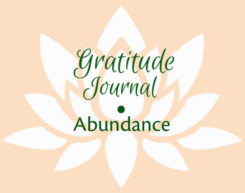Gratitude Journal • Abundance