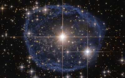 In This Bubble of Creation