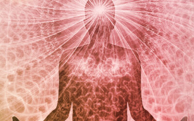 Meditation