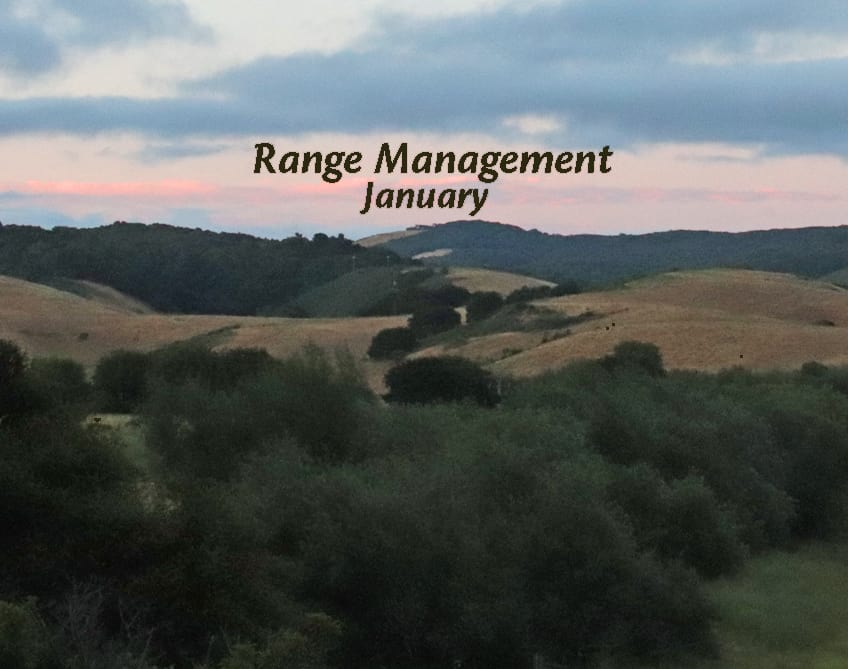 Light on Sunburst Sanctuary