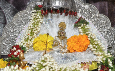 A Holy Week of Celebrations