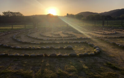 Light on Sunburst Sanctuary