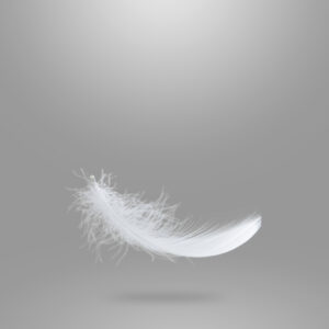Feather Omen