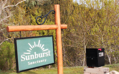 Light on Sunburst Sanctuary – Today