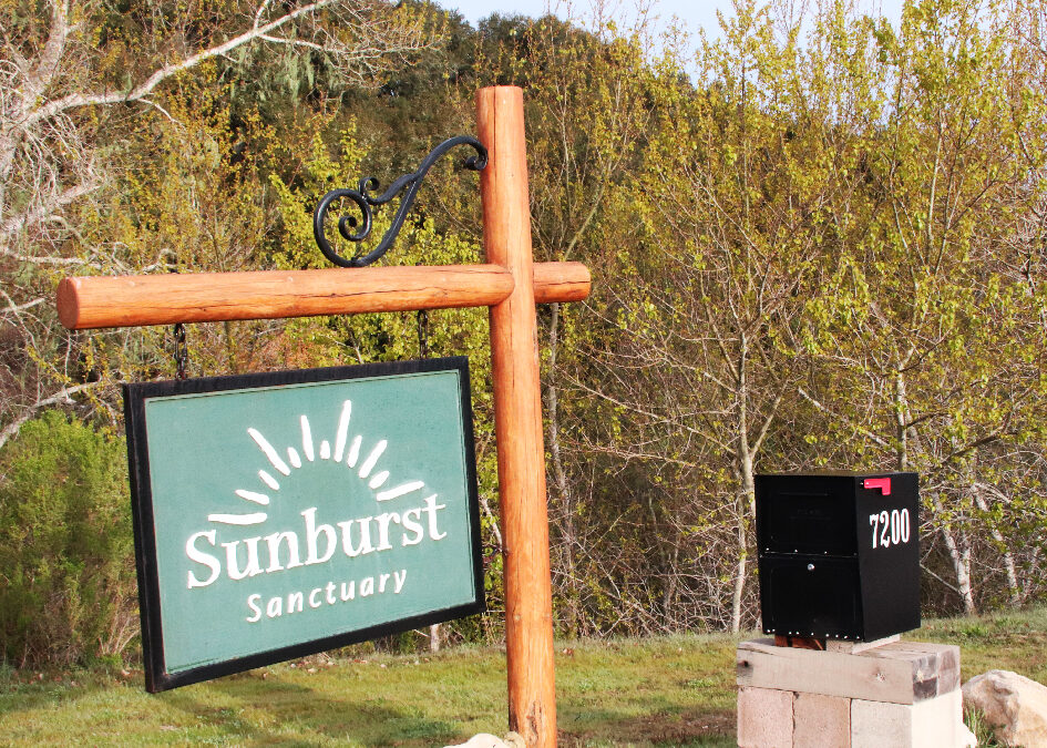 Light on Sunburst Sanctuary – Today