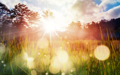 Nourishing Our Earth