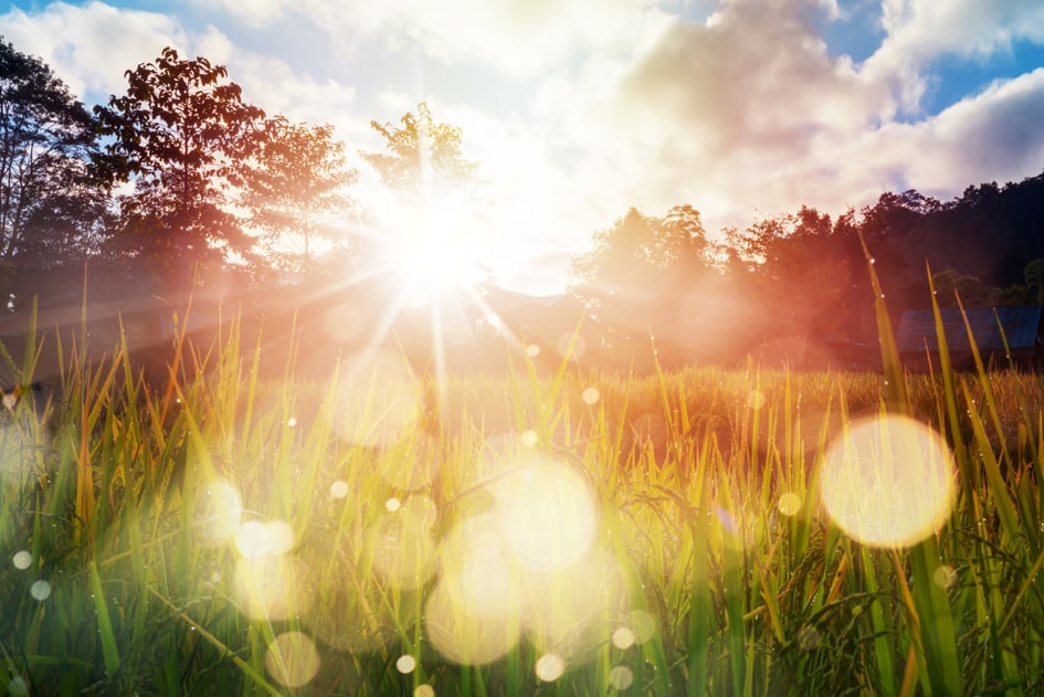 Nourishing Our Earth