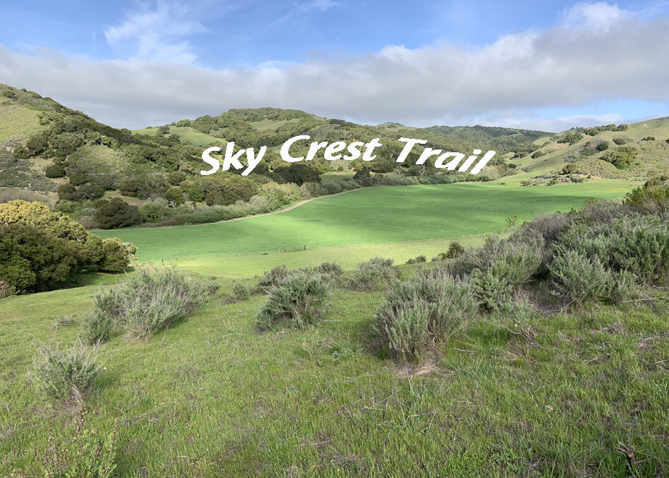 Light on Sunburst Sanctuary