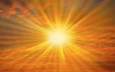 In Sunshine