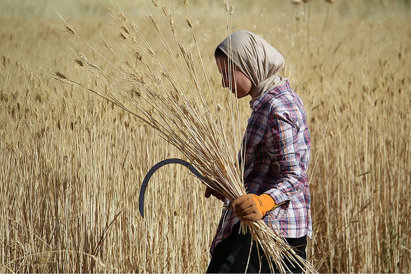 Recreation as Conscious Living