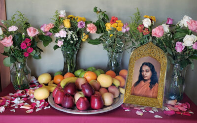 Lead Me To Illumination