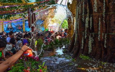 Buddha’s Birthday!