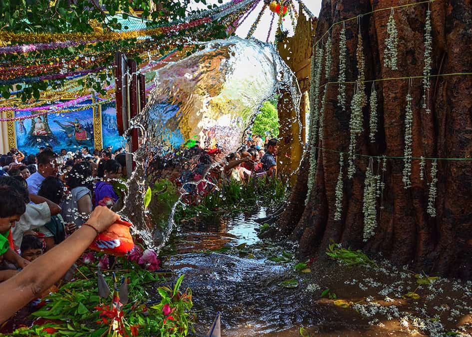 Buddha’s Birthday!