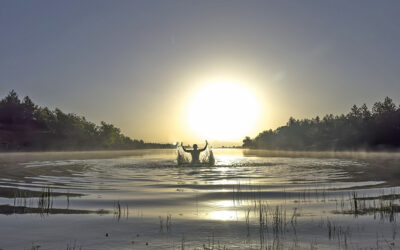 Waiting for What’s Here