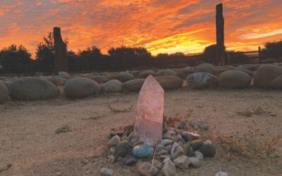 Start Living YOUR Dream