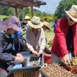 Spring Garden Experience -  Permaculture & Companion  ﻿Planting Workshop