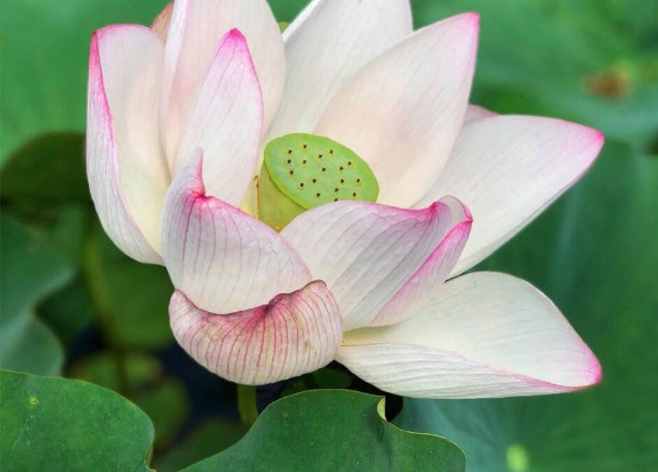 To Pray From The Heart