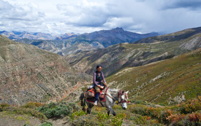 The Wise Woman’s Stone