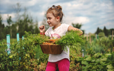 Rooted in the Earth, Reaching for Spirit