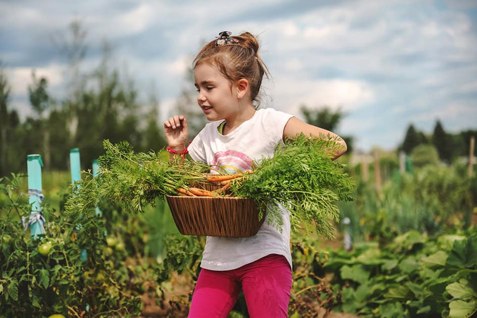 Rooted in the Earth, Reaching for Spirit