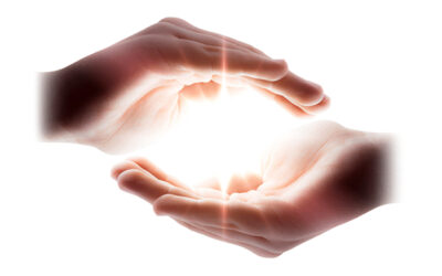 Beyond Your Wildest Dreams