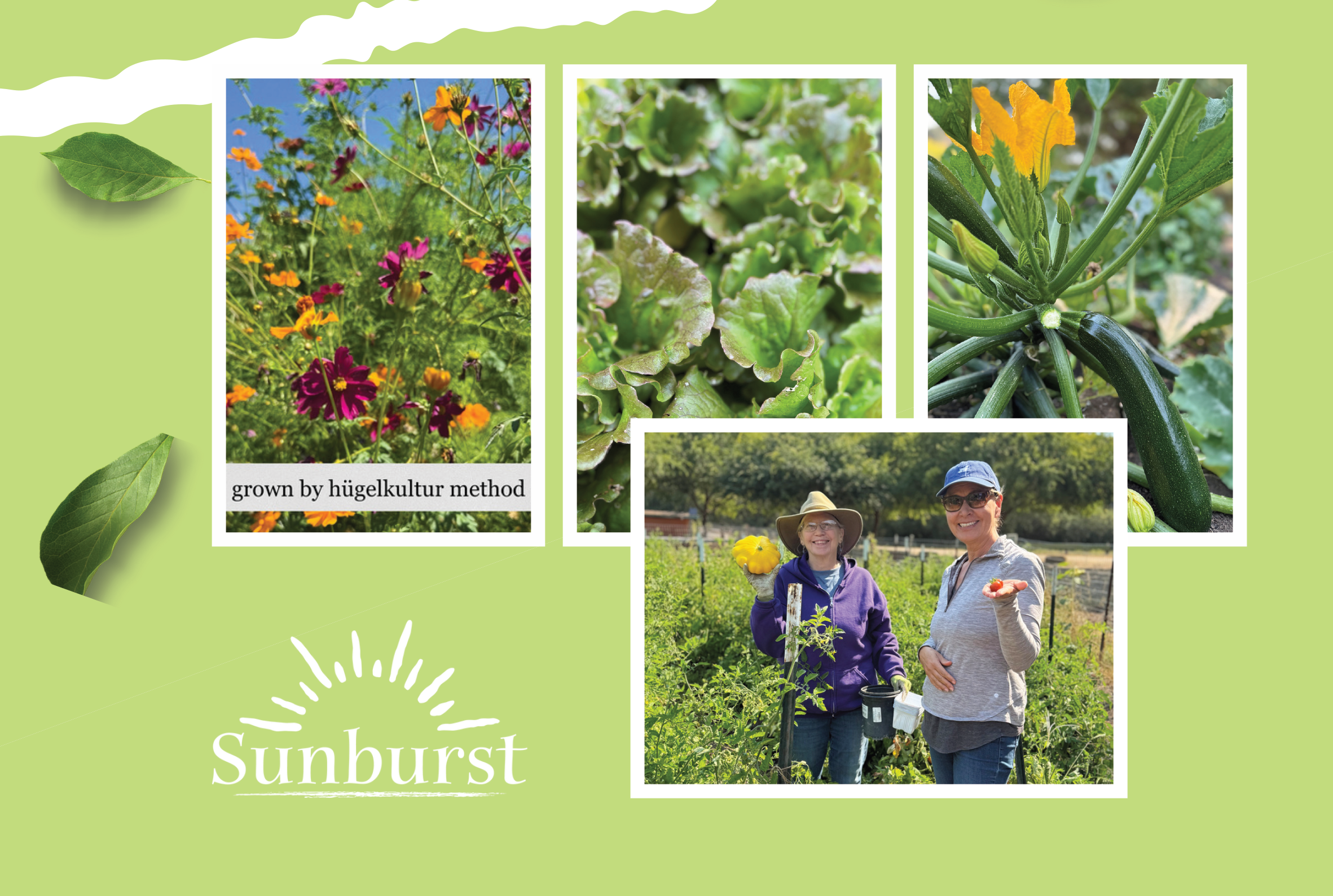 Autumn Harvest Garden Tour