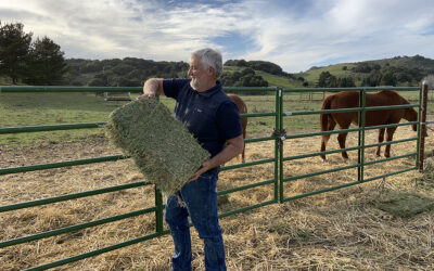 Can We Hear Mother Earth Sing?