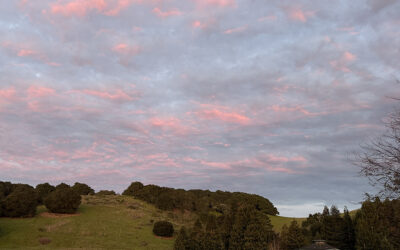 “The Show” Of Life